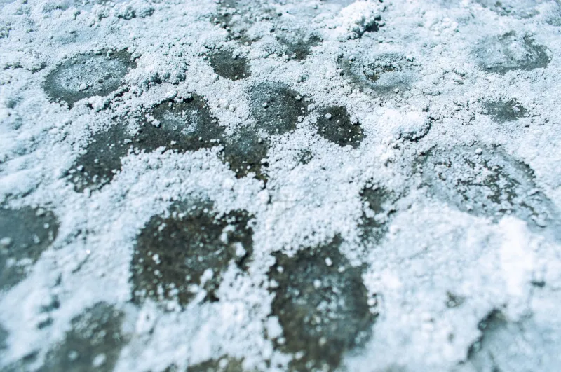 Hard Water, Harder Lessons: How Appleton's Water Chemistry Is Undermining Your Vehicle's Finish