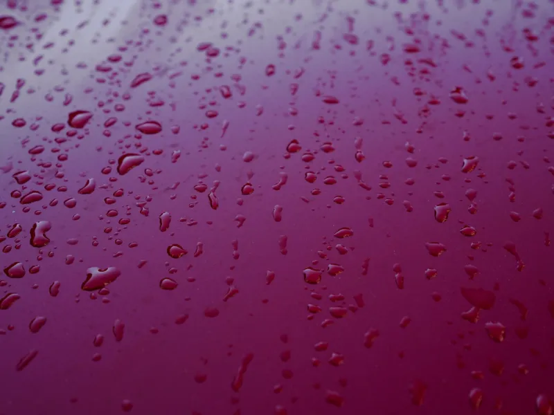 Ceramic Coatings Don't Maintain Themselves: What the Industry Won't Tell You About Long-Term Care